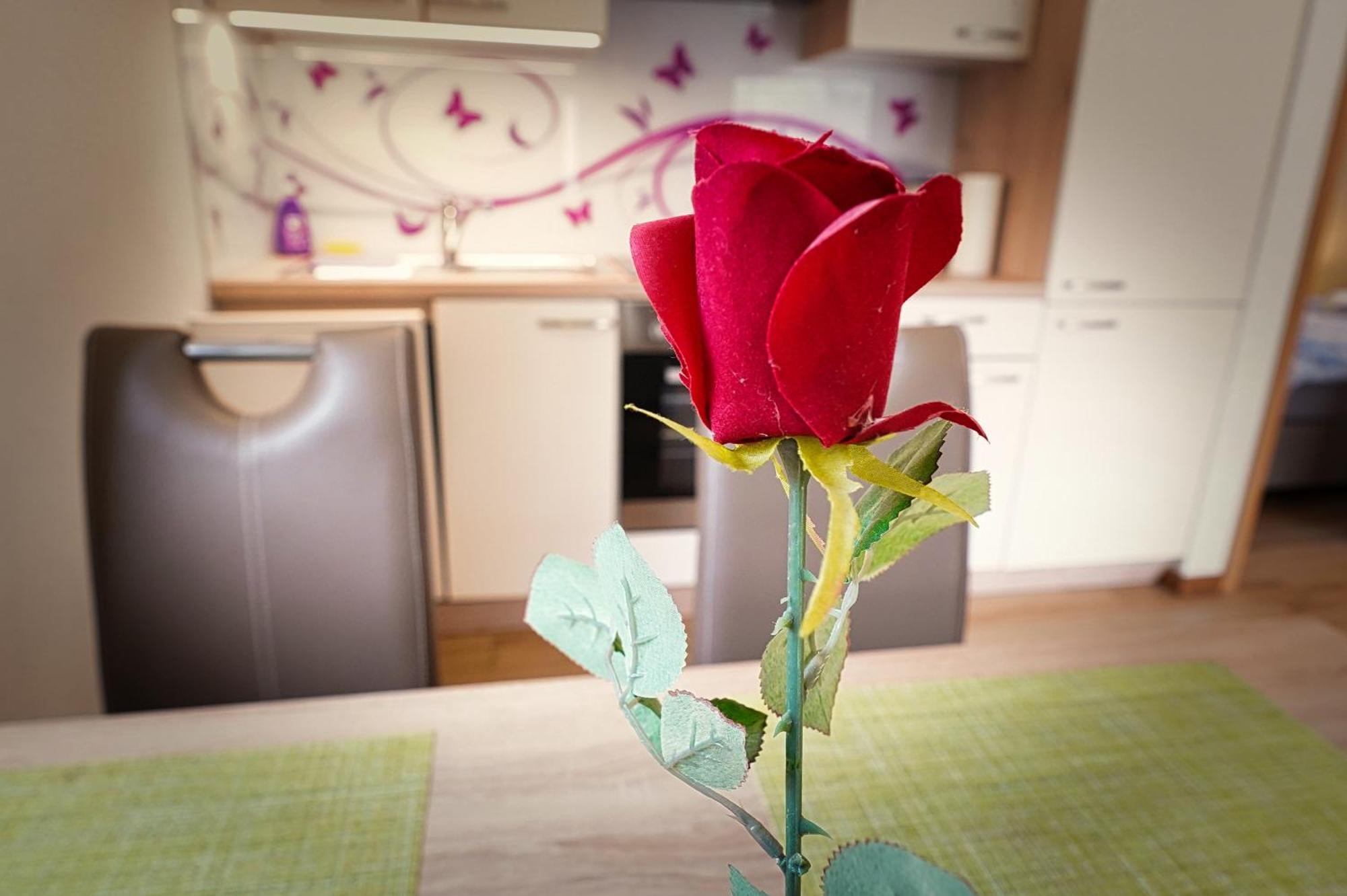Apartma Mari Bohinj Bagian luar foto